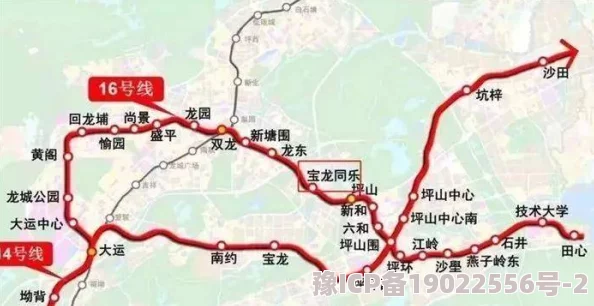 王申白沽高校长免费阅读2025高考改革方案深度解读及专家预测