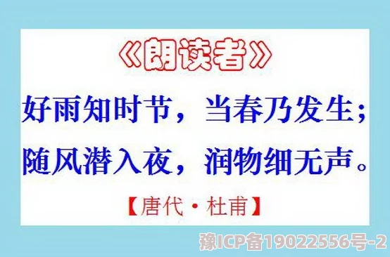 淑容和老卫免费阅读全文无弹窗展现普通人物生活百态引发读者情感共鸣