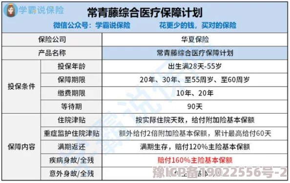 地铁跑酷秘典购买价值深度解析到底值不值得入手？