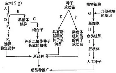 深度解析黑神话悟空中识蕴的多元化获取途径与策略